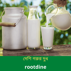 গরুর-তরল-দুধ