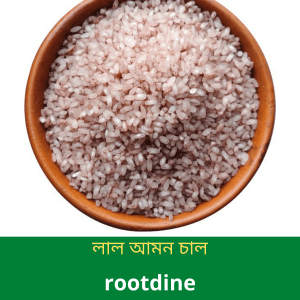 বাদামী-আমন-চাল