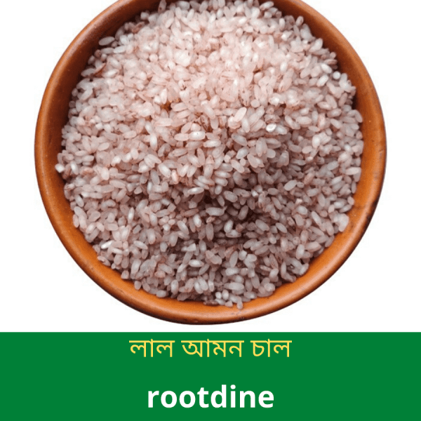 বাদামী-আমন-চাল