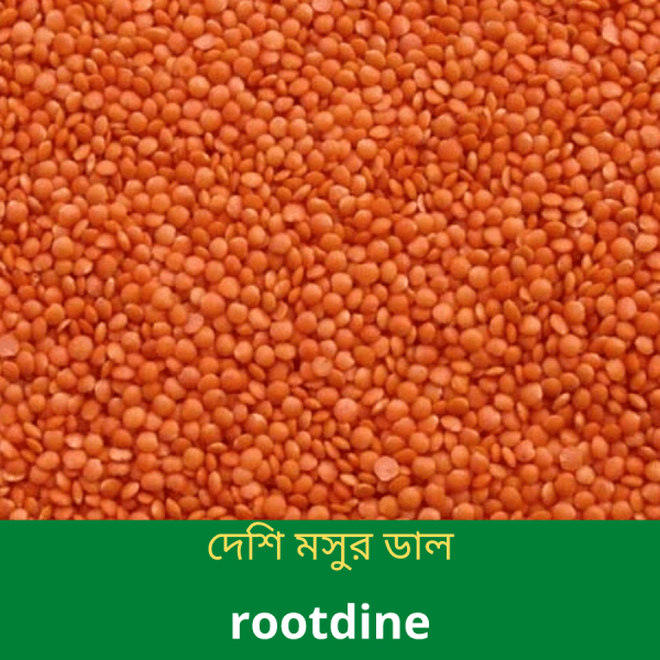 দেশি-মসুর-ডাল