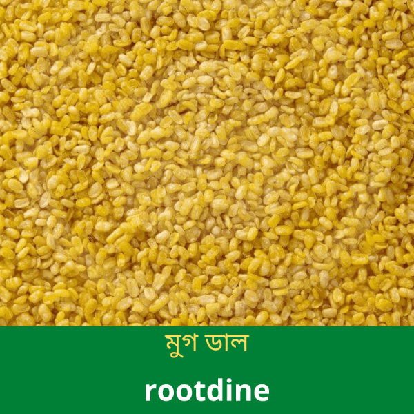 মুগ-ডাল