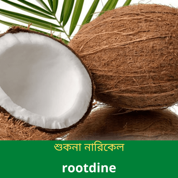 শুকনা-নারিকেল